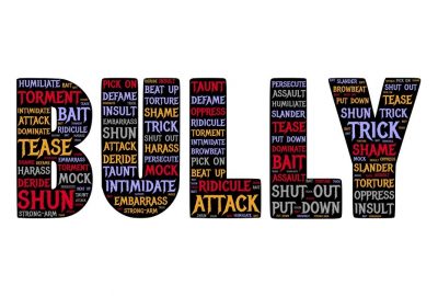 Adult Bully